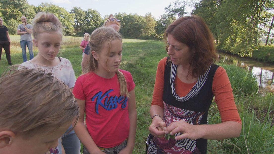 Wildplukken met Leah Groeneweg tijdens het ROEG! herfstkamp
