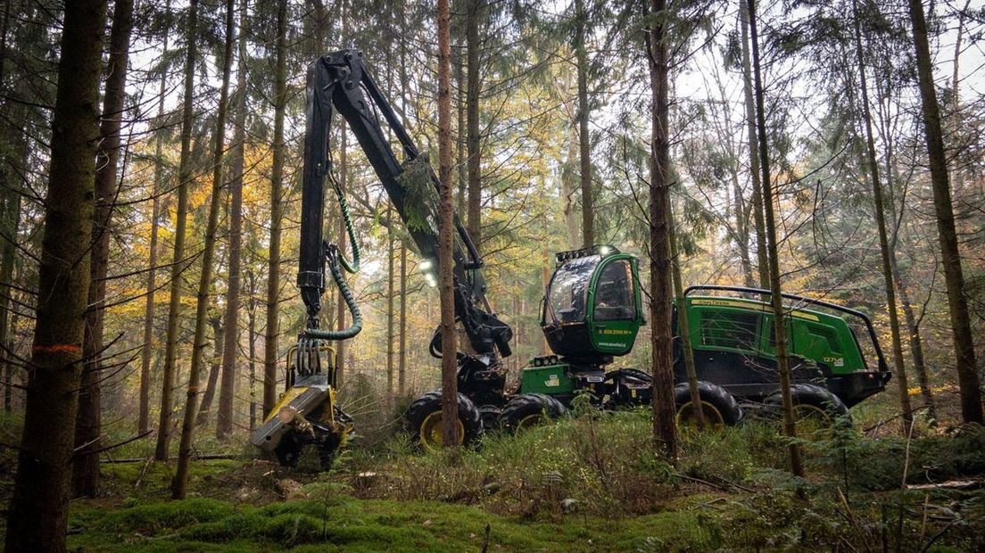 De bomen worden met een grote machine gekapt