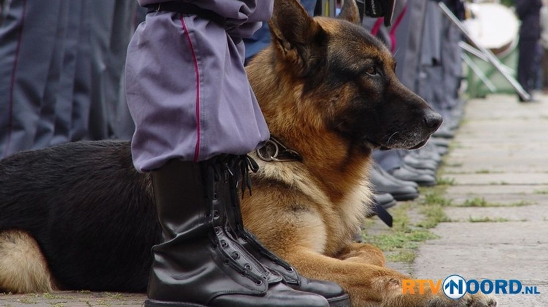 Na de inzet van een politiehond keerde de rust terug