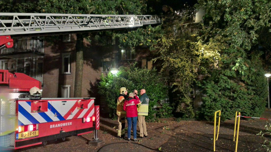 Na een korte felle brand in een appartementencomplex in Arnhem is in de nacht van woensdag op donderdag een hennepkwekerij met 129 planten ontdekt.De brand woedde op de zolderverdieping van het pand aan de Rappardstraat.