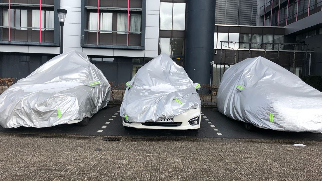 Een aantal van de 'verstopte' auto's