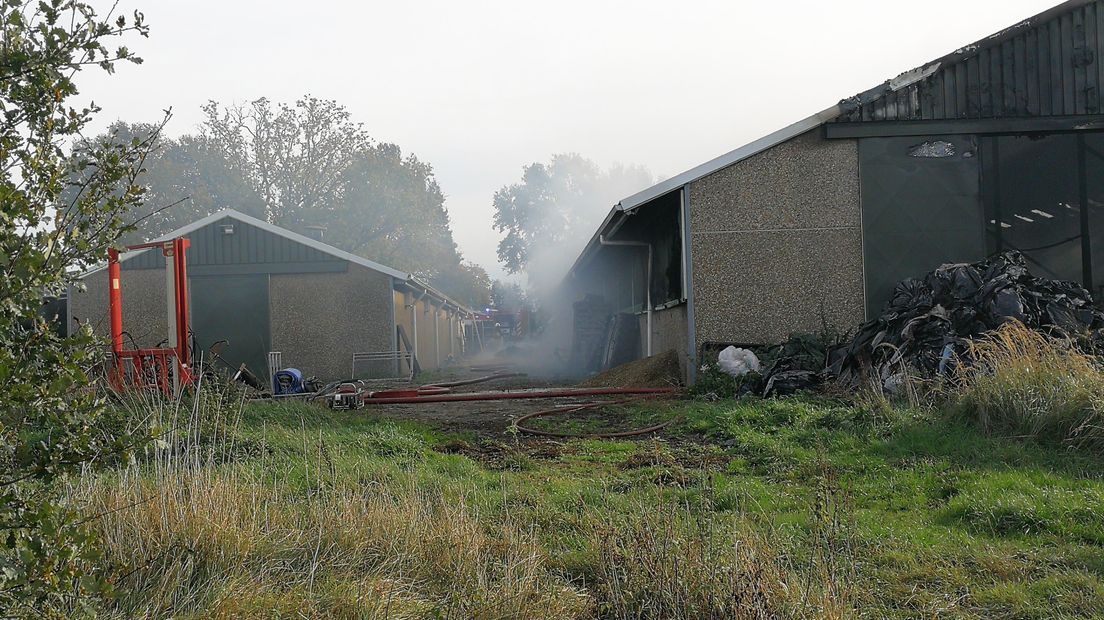 In een stal met 300 kalveren in Coevorden is brand uitgebroken (Rechten: Persbureau Meter)