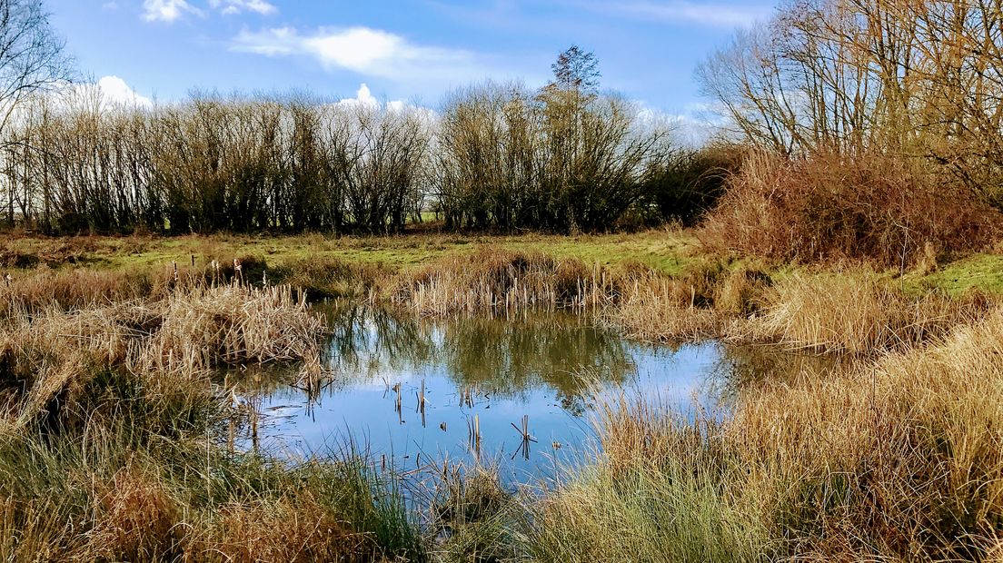 Iedere zondagochtend tussen 7.00 en 10.00 uur struint verslaggever Laurens Tijink door de Gelderse natuur. Zondag gaat Laurens op pad met hobbyfotograaf Evie Koolenbrander. Evie neemt Laurens mee naar de plek waar zij haar perfecte plaatjes schiet: het Azewijnse Broek.