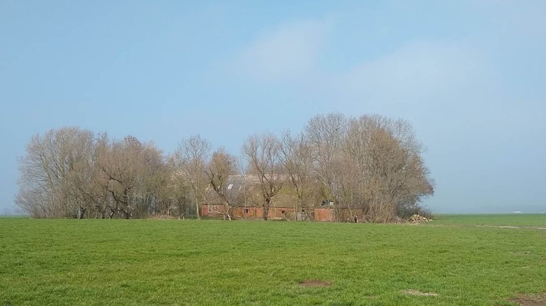 De boerderij aan de Hogeweg in Den Horn