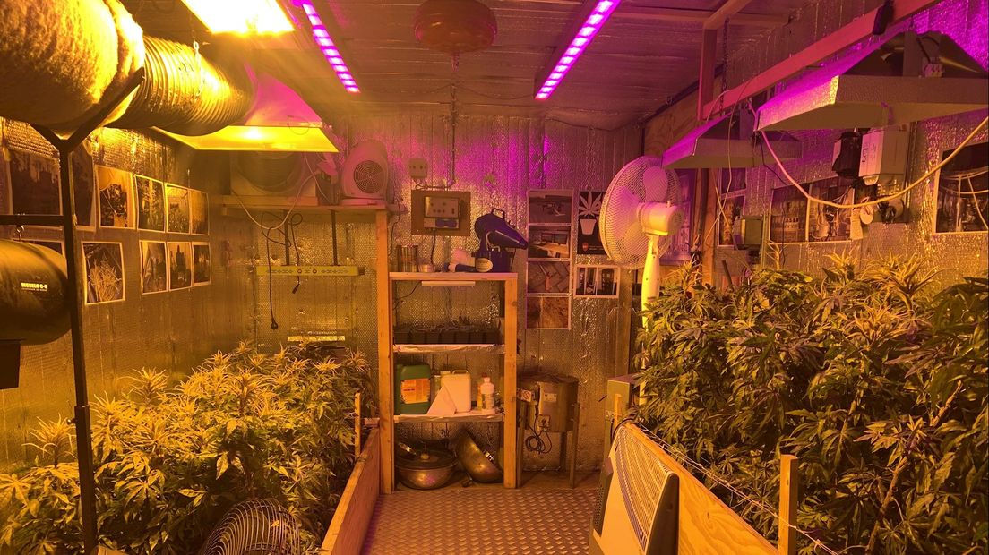 De campagne moet ervoor zorgen dat mensen de gevaren van de illegale hennepteelt inzien en melden.