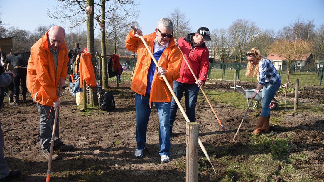 Burgemeester Jan van Zanen van Utrecht hielp vorig jaar in de Voedseltuin in Overvecht.