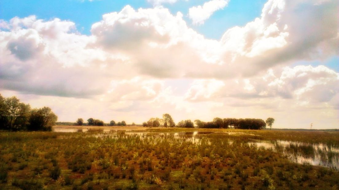 Het Dwingelderveld na de herinrichting
