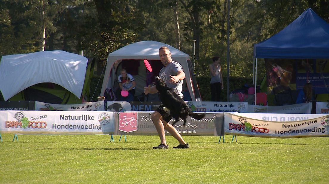 Frisbeeën met je hond: het is leuk tijdverdrijf, maar ook een serieuze sport. In Apeldoorn vindt dit weekend het EK dog frisbee plaats. Bijna honderd baasjes en viervoeters uit heel Europa gaan de strijd met elkaar aan.