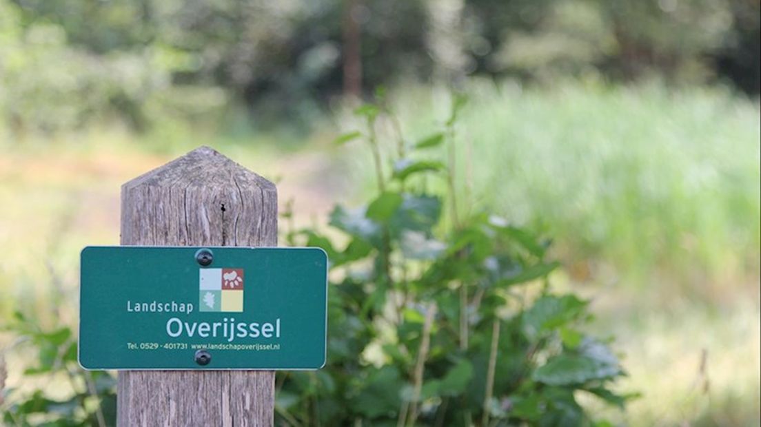 In Overijssel is de hoeveelheid natuur licht gedaald