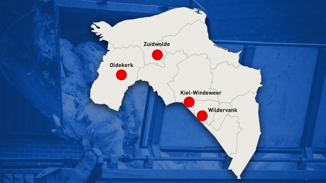 Vogelgriepuitbraken in Groningen, dit najaar