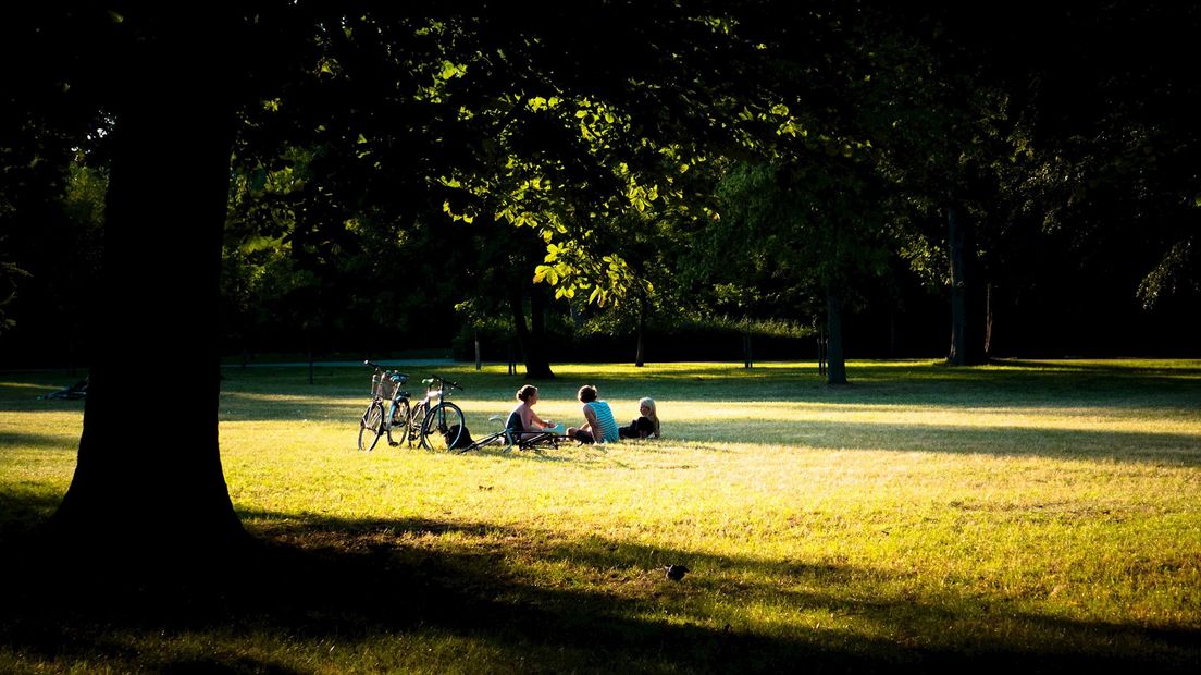 Genieten van de zon in het park