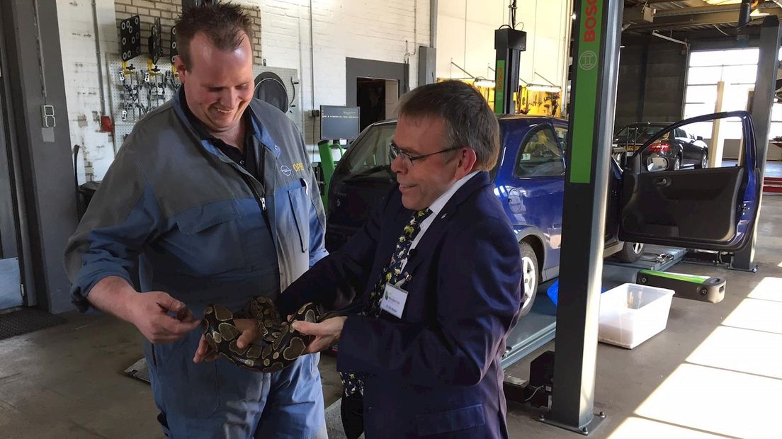 Automonteur Frank Tijhuis durft de python nu wel te aaien; rechts conservator Eric Mulder