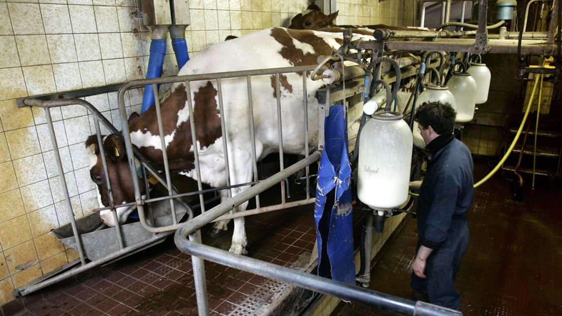 Door de afschaffing van het melkquotum steeg het melkaanbod.