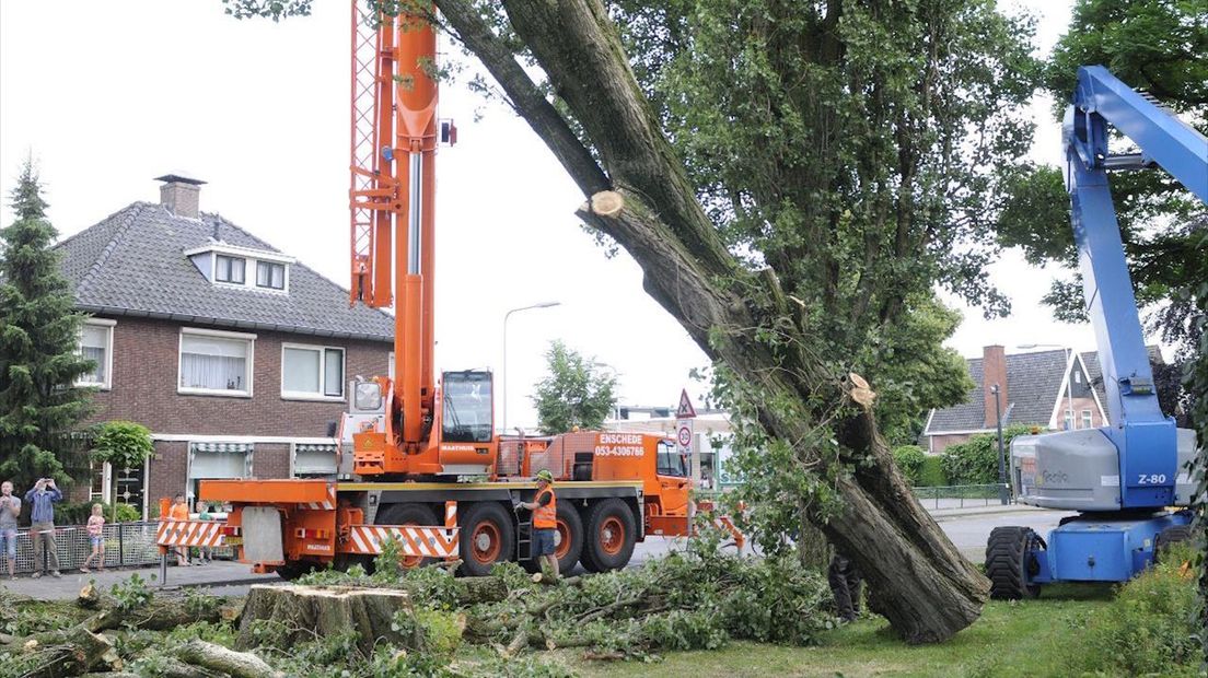 Bomen gekapt