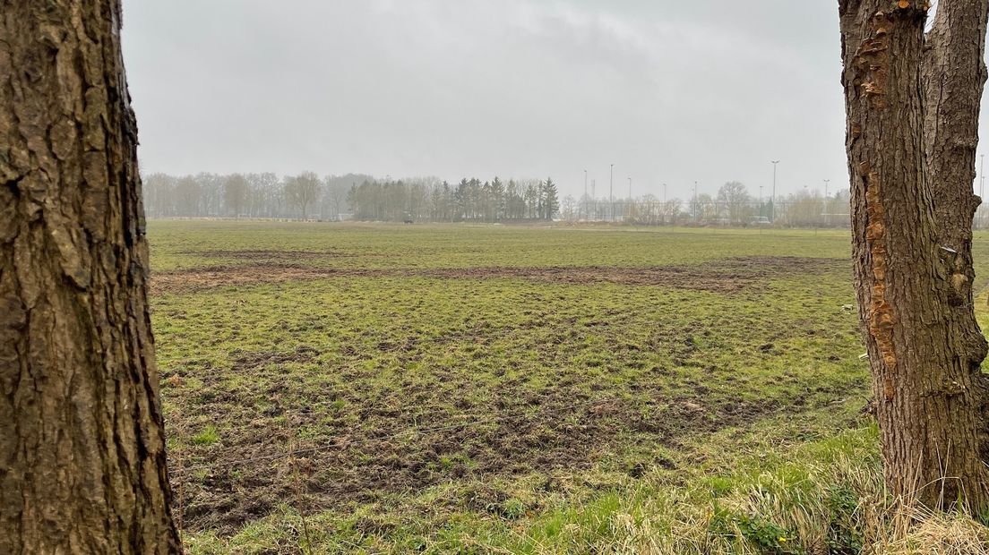 Het bewuste weiland