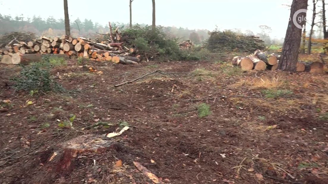Er rust geen taboe op het verwijderen van het Natura 2000-label van Natuurgebieden. Dat zegt gedeputeerde Peter Drenth. Het herstellen van Natura 2000-gebieden staat hoog op de agenda's vanwege de stikstofproblematiek. Maar landelijk is de discussie ontstaan of we hele kleine Natura 2000 gebieden nog wel moeten gaan herstellen.