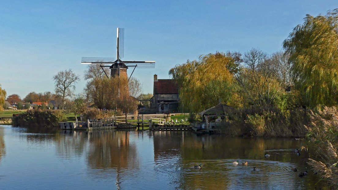 De molen in Schoondijke