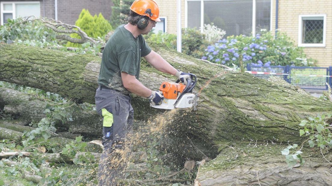 Bomen gekapt