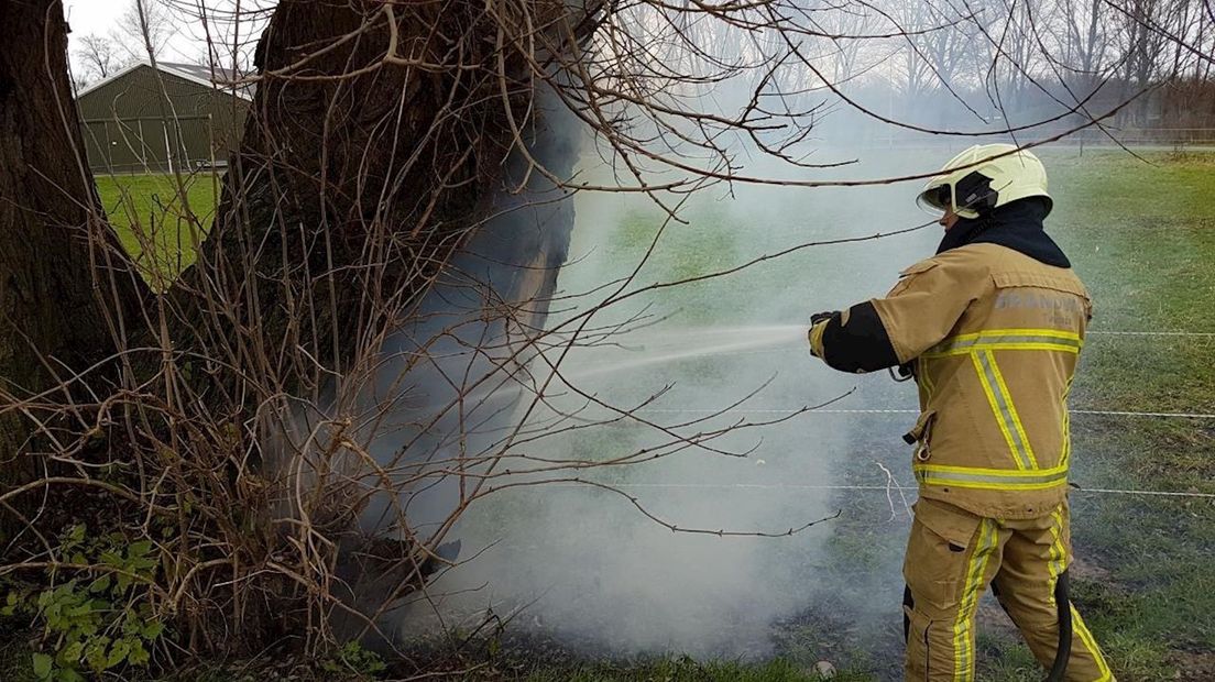 De brandweer blust een boom in Hengelo