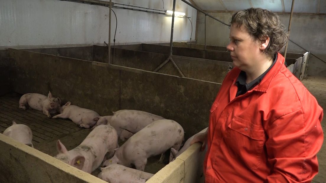 varkenshouder Suzanne Ruesink uit Aalten.