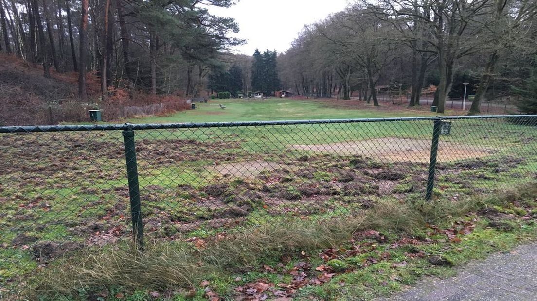 Het stuk grond ten tijde van de natuurcamping