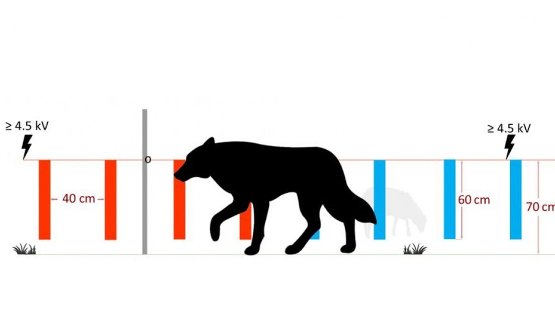 Een alternatief wolvenbeschermingssysteem