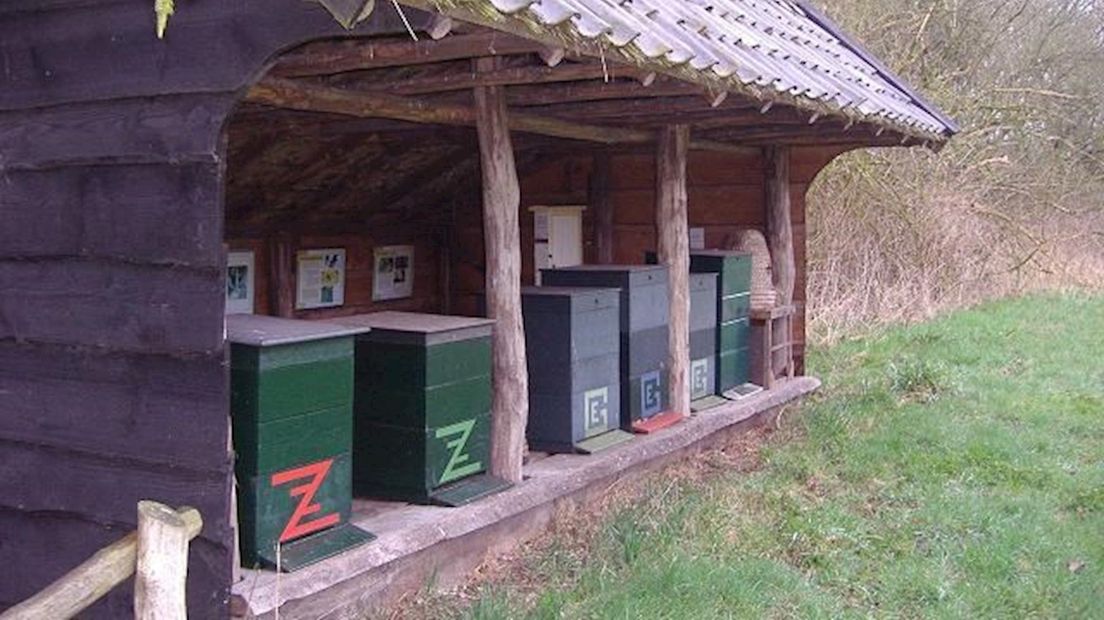 Bijenvolk in een bijenkorf