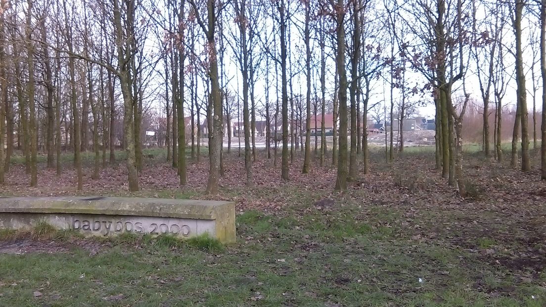 De essen in het Babybos in Enschede zijn eerder gekapt vanwege de vorst