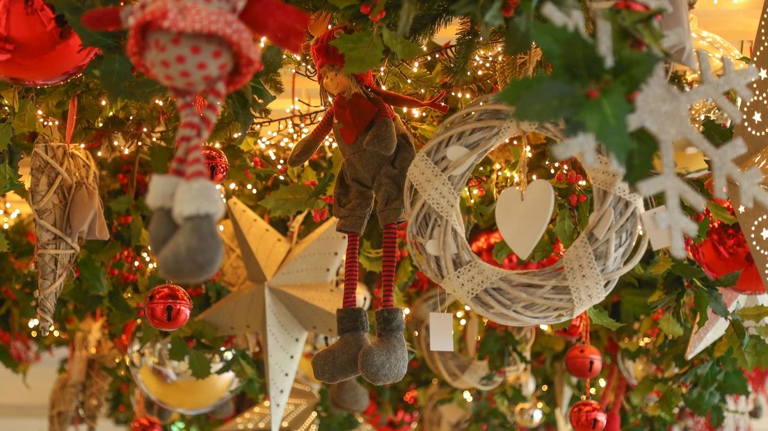 Fotoserie Kerst bij Overijsselse tuincentra RTV Oost