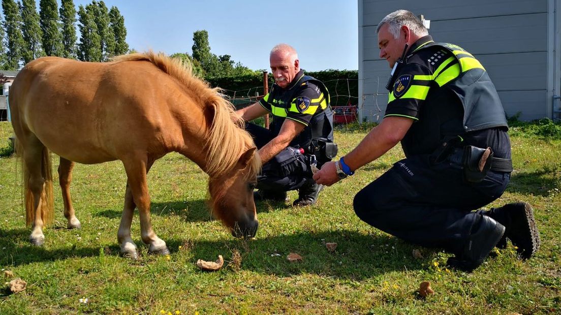 Agent Erik Smit (r): 'Schrijnend wat je tegenkomt'