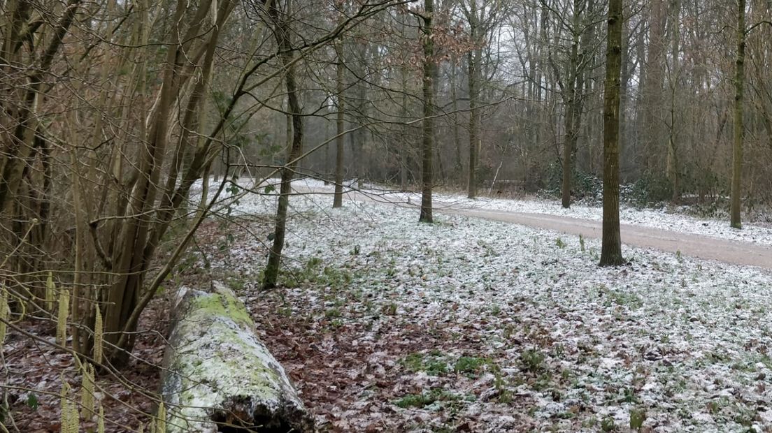 Sneeuw in de Amelisweerd