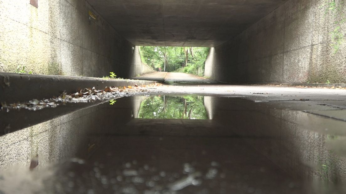 Het tunneltje onder de Deventer Overstichtlaan waar de 82-jarige vrouw werd beroofd