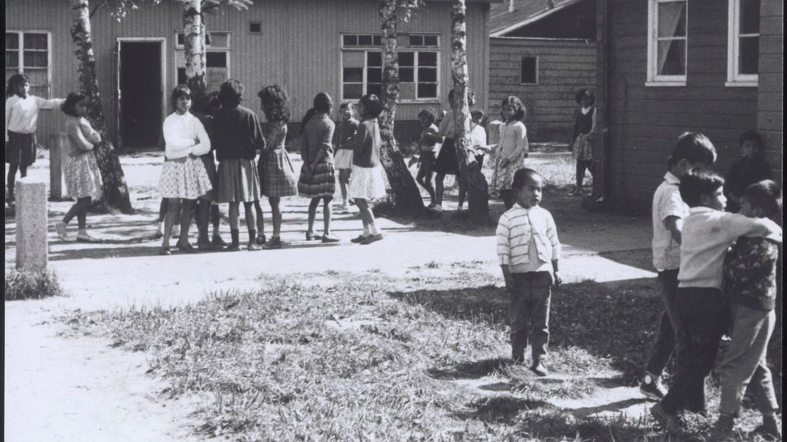 kamp schattenberg