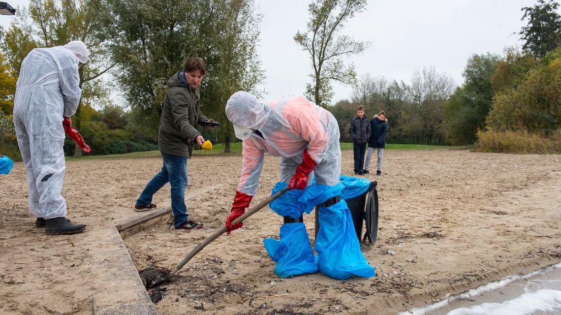 Op verschillende plekken in Nederland zijn dode vogels gevonden die mogelijk besmet zijn met vogelgriep. Vanuit Gelderland zijn er tot nu toe nog geen meldingen bekend.