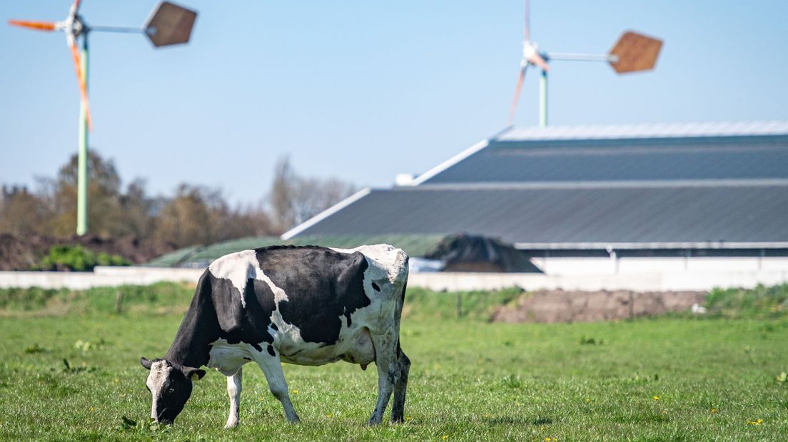 PAS-melders boeren
