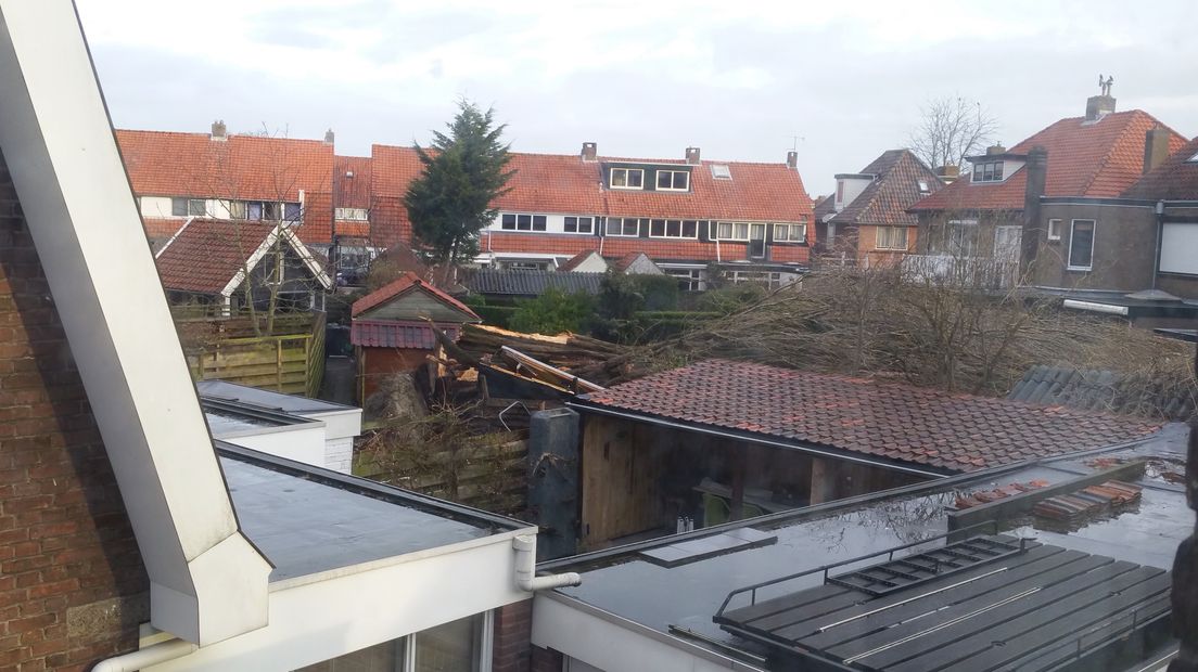Boom waait om in Goes tijdens westerstorm