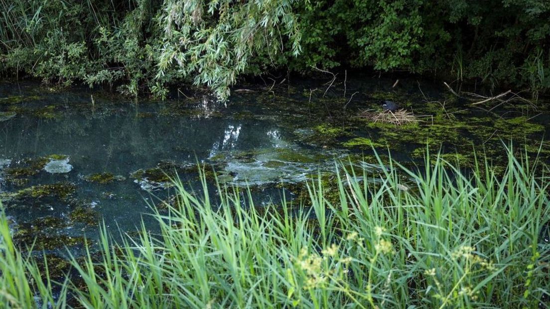 In het water is olie, diesel en verf terechtgekomen.
