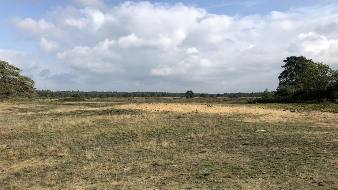 Blije reacties bij organisaties op en rond Nationaal Park De Hoge Veluwe nu het park genoemd is als een van de topattracties door de toonaangevende reisgids Lonely Planet. De gids noemt de schilderachtige landschappen, museum Kröller-Müller met de schilderijen van van Gogh en het grote wild redenen voor reizigers om komend jaar zeker een bezoek te brengen aan de Hoge Veluwe.