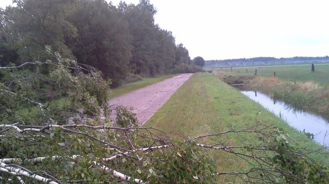 Boom omgevallen op de Landweg in Wapse