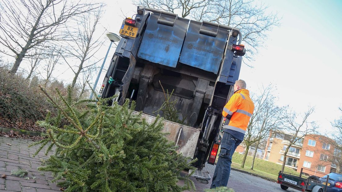 De kerstbomen worden in een vuilniswagen verzameld en afgevoerd