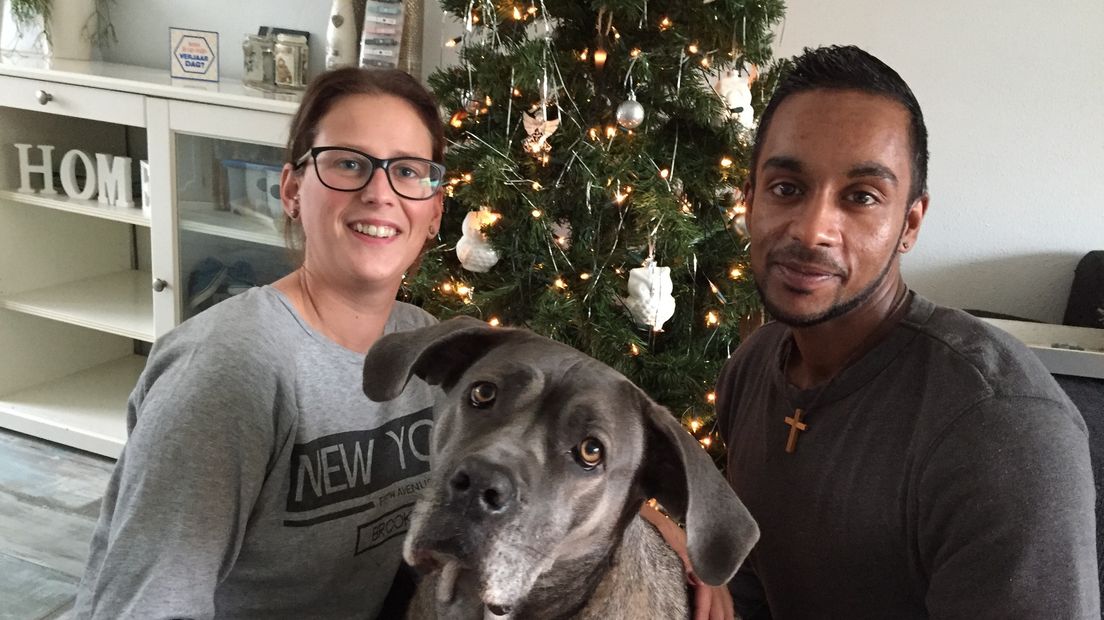 'Kom je met Kerst bij ons eten?' (video)