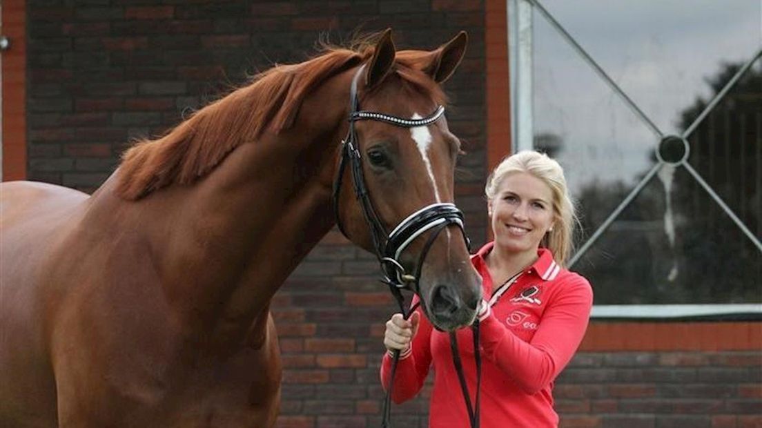 Paardenhuizen bieden eigenaren de kans hun paard in de buurt te stallen