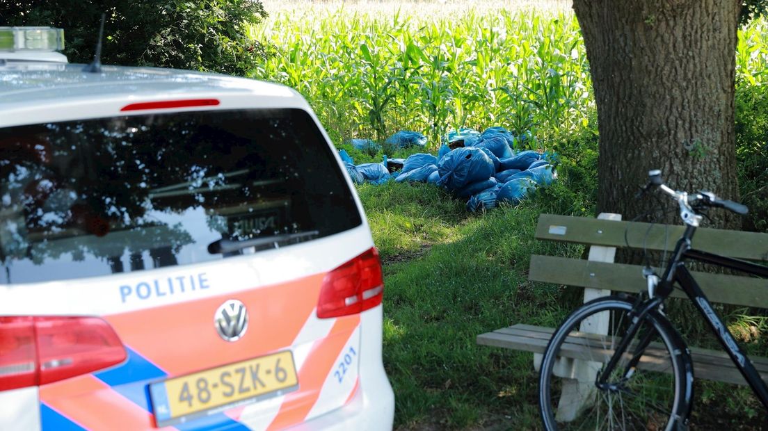 Hennepafval in Overdinkel