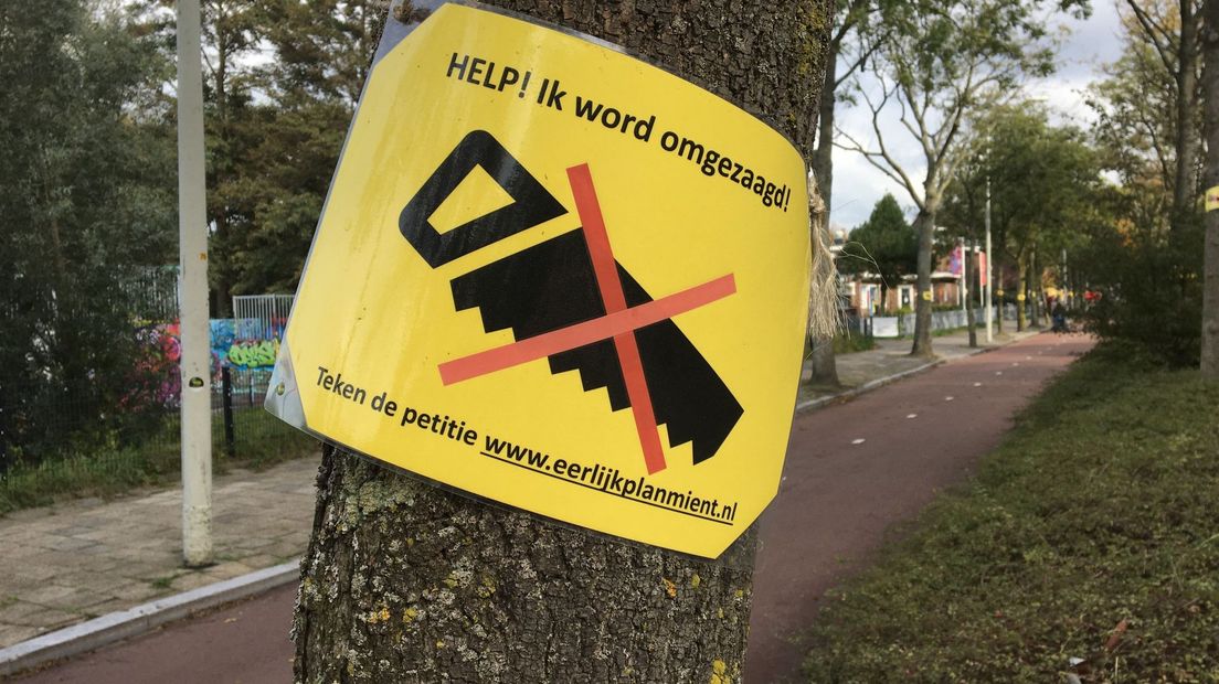 Omwonenden van de Haagse Mient voeren actie voor behoud van de bomen