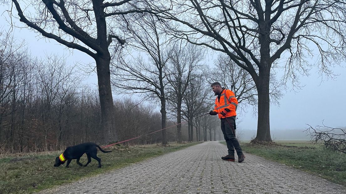 bjorn van der veen