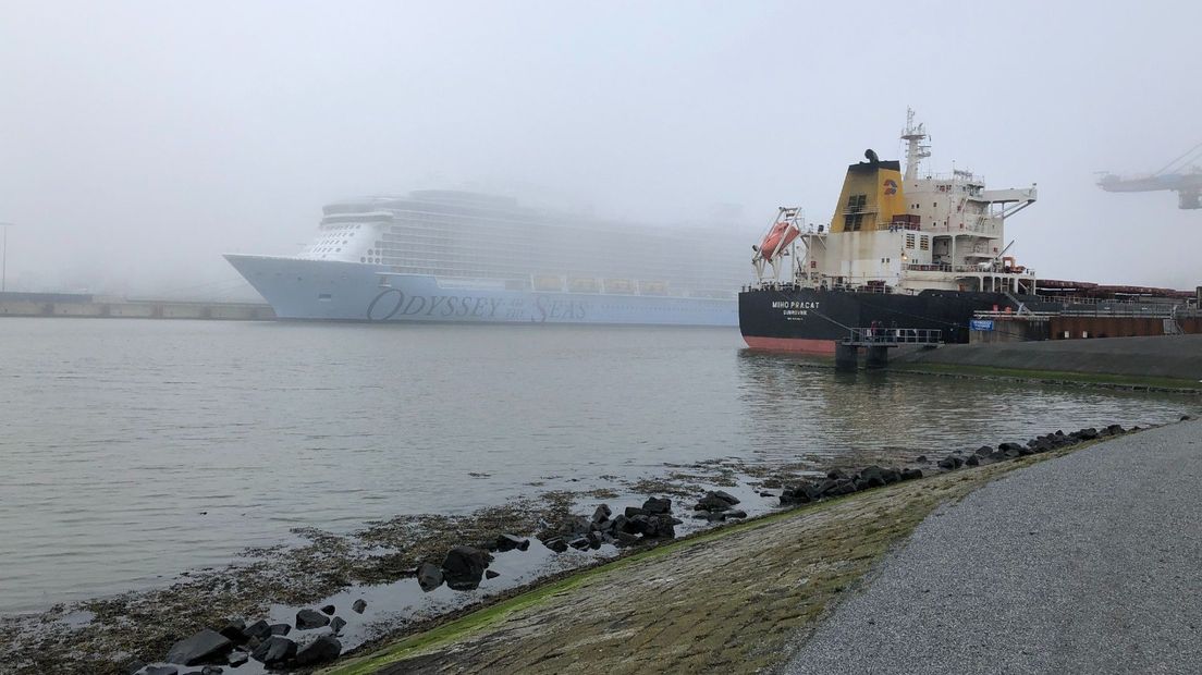 De Odyssey of the Seas in de mist