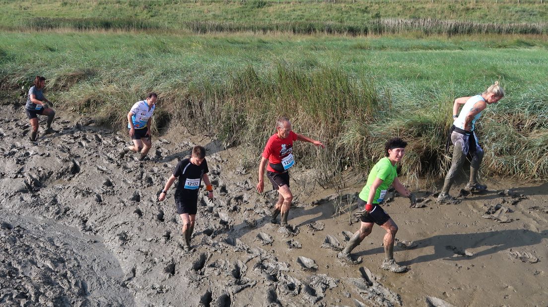 Deelnemers van de Saeftinghe Run ploeteren door de modder