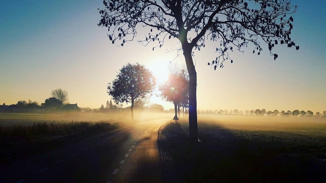 Opkomende zon beschijnt rijp en mist na eerste nachtvorst