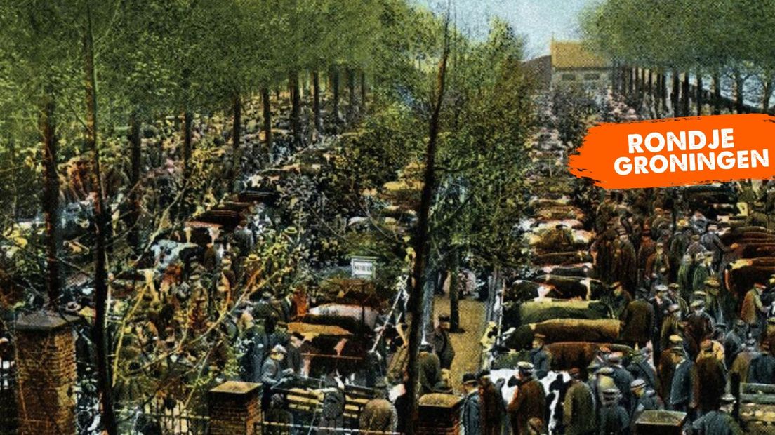 De Nieuwe Veemarkt in Groningen, tussen 1895-1905