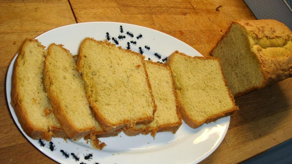 Spacecake verkocht in Steenwijk